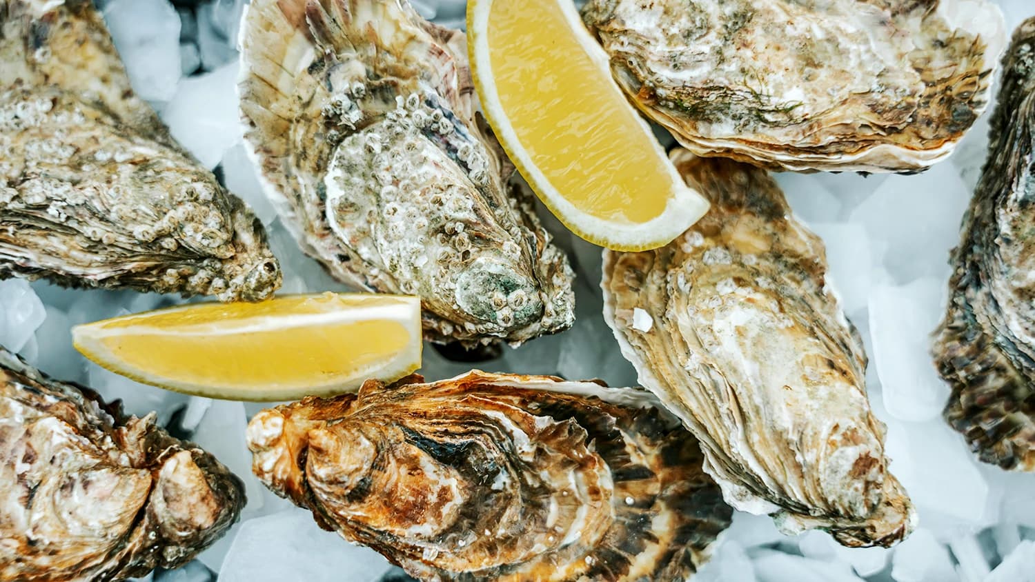 Na tę stronę czekałem miesiące